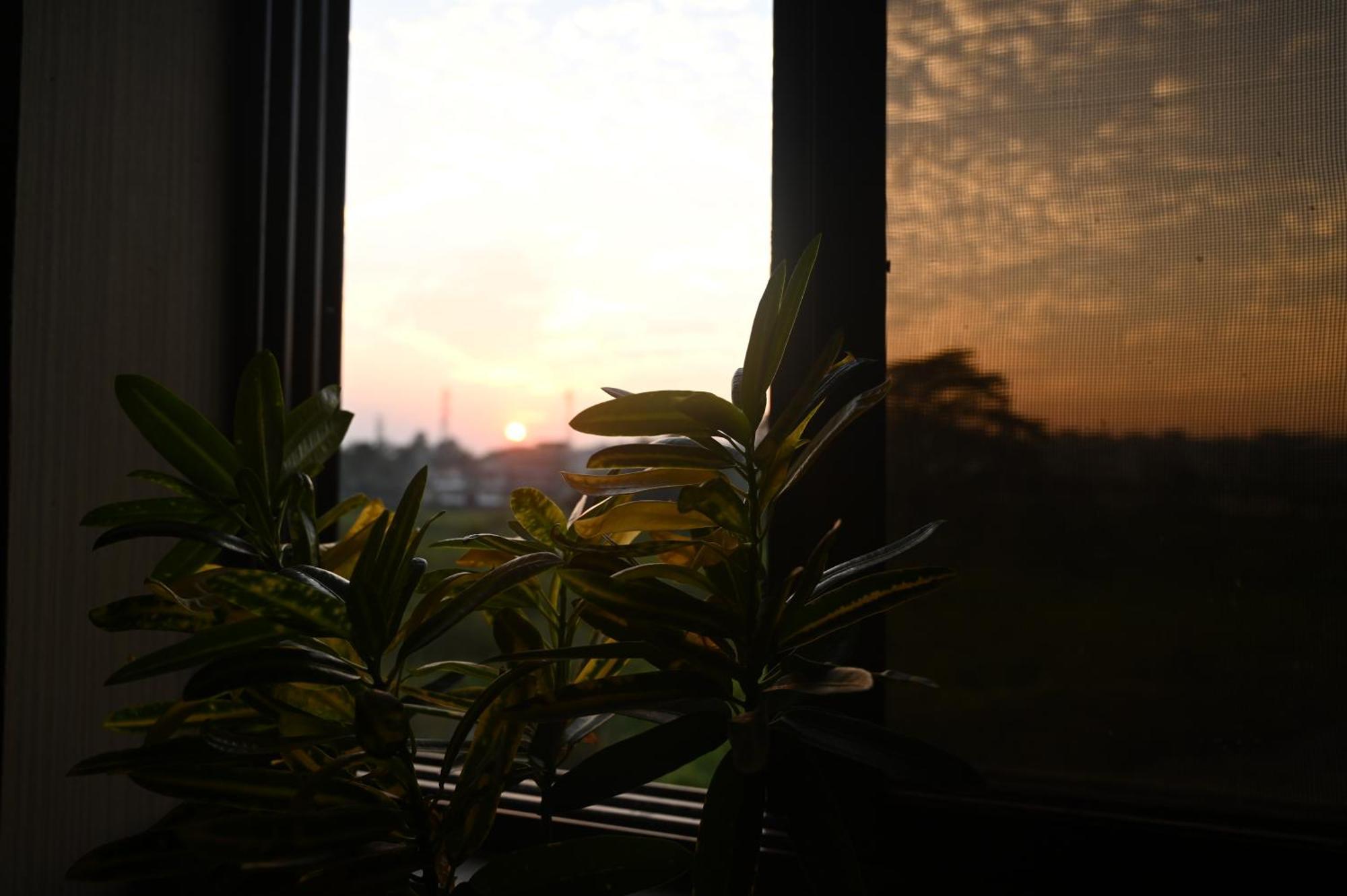 The Cabin By The Bayou Bed and Breakfast Guwahati Esterno foto